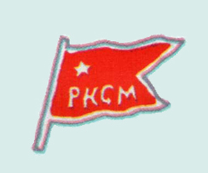 Комсомольский значок, 1919г.
